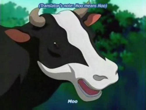 moo-means-moo